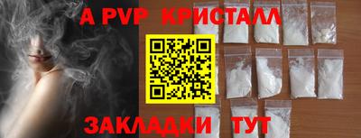 СК Краснознаменск