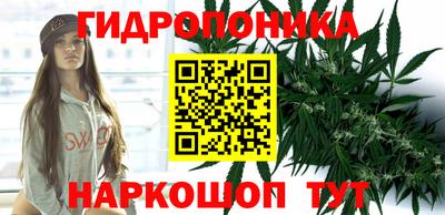 СК Краснознаменск