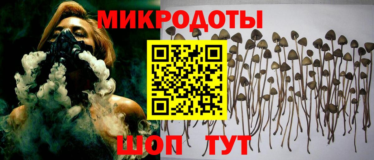 Псилоцибиновые грибы прущие грибы Кирово-Чепецк