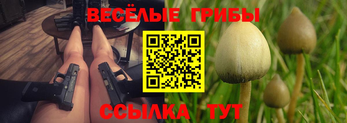 Кирово-Чепецк  Псилоцибиновые грибы GOLDEN TEACHER  купить наркоту  Вход с VPN  Псилоцибиновые грибы ЛСД 